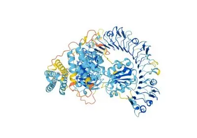 Q8W3K0, listed in the DeepMind database as a potential plant disease resistance protein from Arabidopsis thaliana